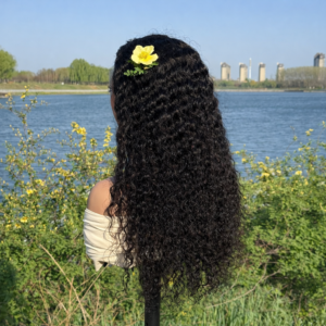 Peruvian Human Hair Water Wave Full Frontal Transparent Lace Wig